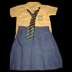 Girls school uniform 2pc